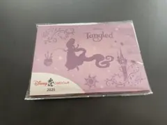 ディズニーJCBクラブ 会員限定非売品 ラプンツェルピンバッジ