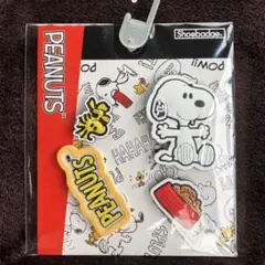 Item thumbnail for item e934001f-ae22-41f8-824e-270f68e81100