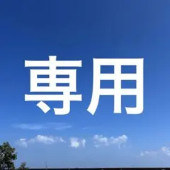 すずらん様 リクエスト 4点 まとめ商品