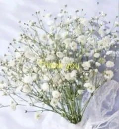 ★Star★プロフに情報記載★様