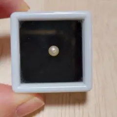 あこや真珠 片穴あき 1粒