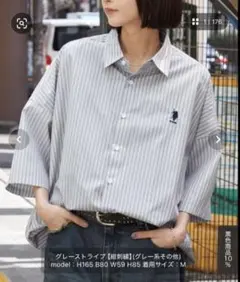 【タグなし未使用】U.S. POLO ASSN. ストライプ半袖シャツ L