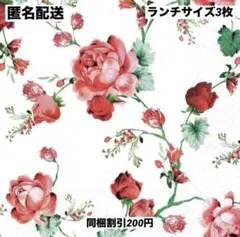 No.2449＊ペーパーナプキン＊デコパージュ3枚