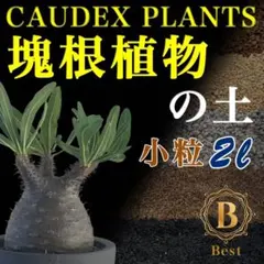 塊根植物の土　Special小粒10㍑培養土　パキポディウム・アデニウム等 塊根植物の土Premium小粒2㍑培養土 パキポディウム・アデニウム等