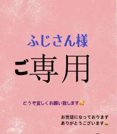 ふじさん様 ご専用　值引100円　おまけ付き　リクエスト 3点 まとめ商品
