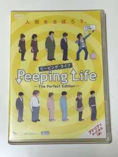 Item thumbnail for item 2401ecfe-474a-4b34-aa81-37c6f86a2394