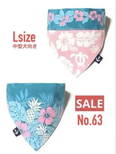 Item thumbnail for item b99abf8c-dd63-492c-9645-77a1674145e4