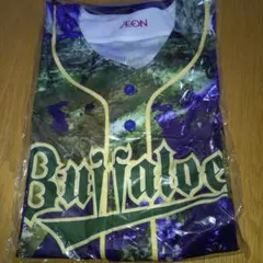 Item thumbnail for item 161c6054-db67-41bb-9e34-75c80e38c748