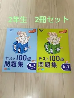 テスト100点問題集★2冊セット★進研ゼミ小学講座★2年生★書き込み少しあります