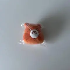 ケアベア フェイスマスコット2 アミーゴベア ガチャガチャ ガチャ 新品未開封