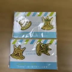 嵐　ピンバッジ