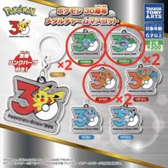 ヒトカゲ　ポケモン メタルチャームマスコット 30周年