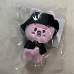 2026年最新】straykids ポップアップ キーリングの人気アイテム - メルカリ