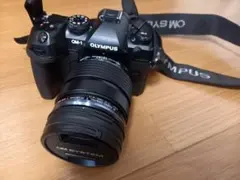 Item thumbnail for item 70be6e0e-d1ee-4f99-82da-5c769017f530