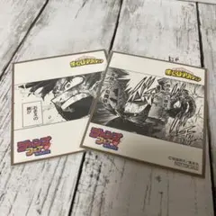 ヒロアカ ミニ色紙