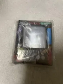 THE RAMPAGE フォトカードホルダー