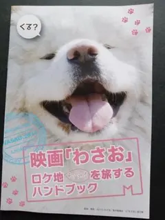 Item thumbnail for item d62f1e4c-8e7d-4826-b51e-d363906ea211