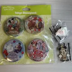 ディズニー バッチ、キーホルダーセット