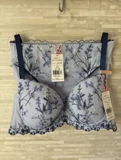 C75L」トリンプ チャーミングラマースリムライン フローラルハグ ブラショーツ