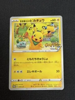救助隊DXのピカチュウ：ゲオ限定プロモカード キャンペーン PROMO S-P