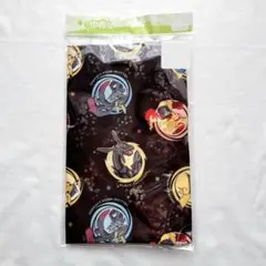 ポケモン　巾着L 大　お着替え袋　体操着袋　学用品　レックウザ