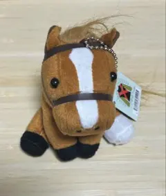 アイドルホース オルフェーヴル 有馬記念のサムネイル