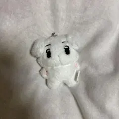 aespa 10cm ドール ウィンター 직직이 ぬいぐるみ winter 윈터 - メルカリ