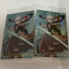 カメ様 リクエスト 2点 まとめ商品