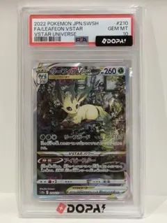 2026年最新】リーフィアvstar psa10 sarの人気アイテム - メルカリ