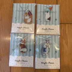 mofusand モフサンド アクリルチャーム ファミマコラボ