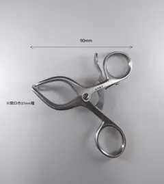 Item thumbnail for item 148078bb-8243-408b-b2d7-e67735601398