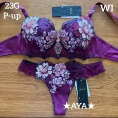 サルート 23 WI P-upブラ&ソング