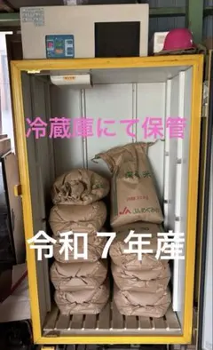 令和７年産　　あきたこまちのサムネイル