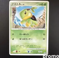 2026年最新】ナエトル プロモの人気アイテム - メルカリ