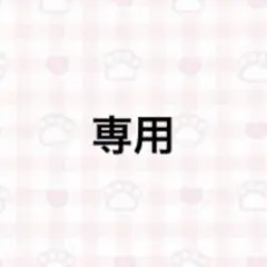 専用