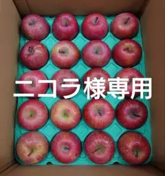 【ニコラ様専用】