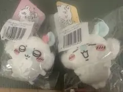 モモンガだらけくじ　2個セット