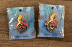 ポケモンセンター カナザワ ロゴピンズ 2個セット ミロカロス