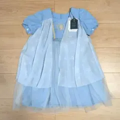 バースデイ コトリ プリンセス アナと雪の女王 エルサ ワンピース