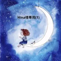Hina様専用9点専用(1)