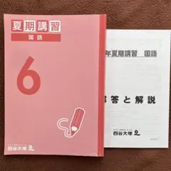 四谷大塚 予習シリーズ 夏期講習 6年 算数 国語 理科 社会 まとめ売り