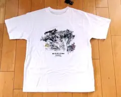 ノースフェイス 半袖Tシャツ WALLS TEE イワゴヤ　レディース