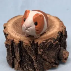 Item thumbnail for item 80d470c3-7c97-4ca8-a1d6-add16dfc1928