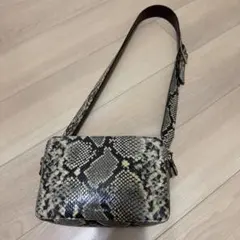✨超希少✨パイソンレザー ショルダーバッグ 2way シルバー金具 Y2K 緑