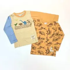 子供服 男の子 長袖 Tシャツ まとめ売り 恐竜 110cm 新品 TWN65