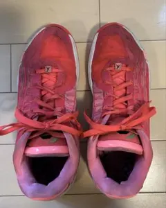 NIKE Jordan ルカ4 バッシュ HF0824-600 30cm