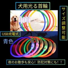 LED 光る首輪 グリーン70㎝ 散歩 犬 猫 ペット用品 おしゃれ 夜 目立つ