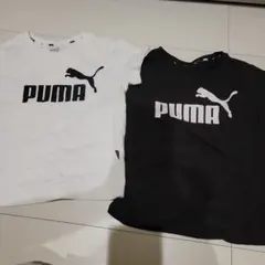 キッズPUMA Tシャツ 2枚セット (白・黒) 120