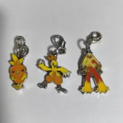 ポケモン アチャモ ワカシャモ バシャーモ 全国ずかんメタルチャーム