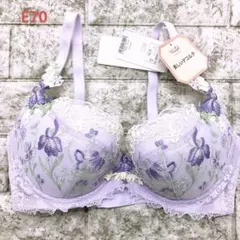 E70 プレミアムレッドレーベル0078 ブラジャー　トリンプ